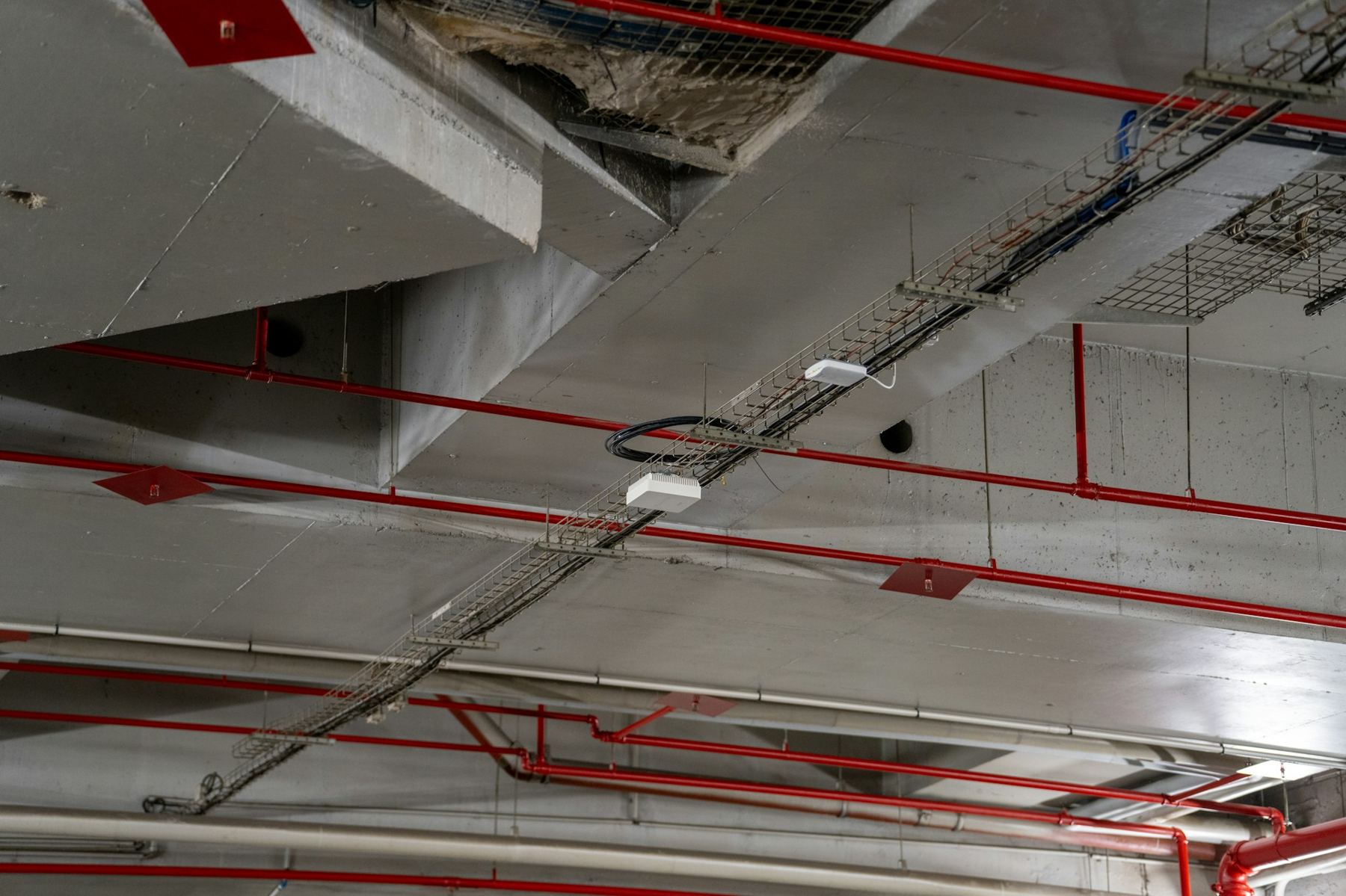 Red fire sprinkler pipes on a ceiling